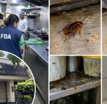 Pune: Cockroaches, Rat Droppings Found in New Poona Club Kitchen; FDA Suspends Licence