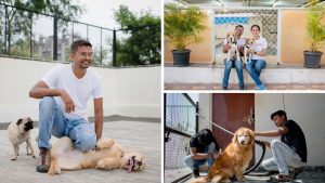 Dog-Boarding Business