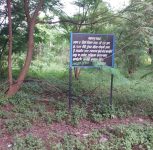 Pune: Empress Garden Land for Court? Horticultural Society Raises Environmental Concerns