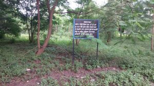 Empress Garden Land for Court