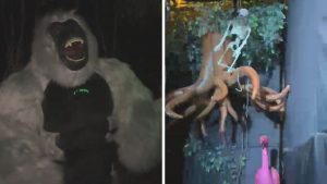 Horror-Jungle-Themed Ganpati Pandal Adds Adventure to Devotion