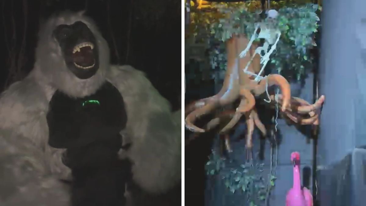 Horror-Jungle-Themed Ganpati Pandal Adds Adventure to Devotion
