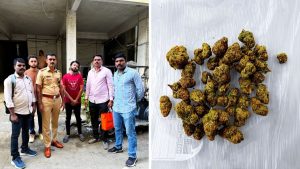Kondhwa Police Seize Hydroponic Cannabis, Mephedrone Worth Rs 8.13 Lakh