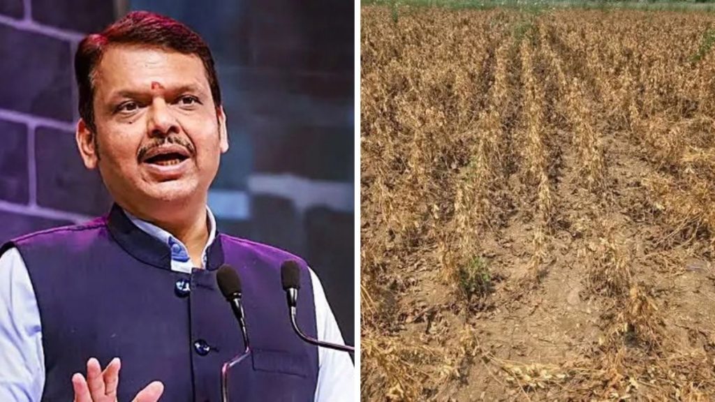 Maharashtra Govt Declares Drought In 265 Talukas