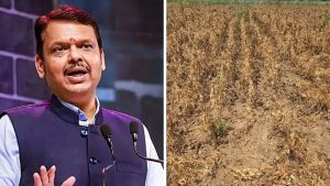 Maharashtra Govt Declares Drought In 265 Talukas