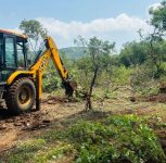 Pune: Nearly 1,000 Trees Being Removed at Katraj Ghat, Raising Concerns Over Green Cover and Wildlife Habitat