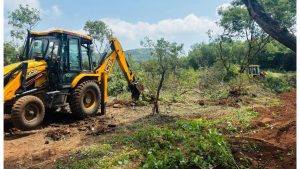 Nearly 1,000 Trees Being Removed at Katraj Ghat