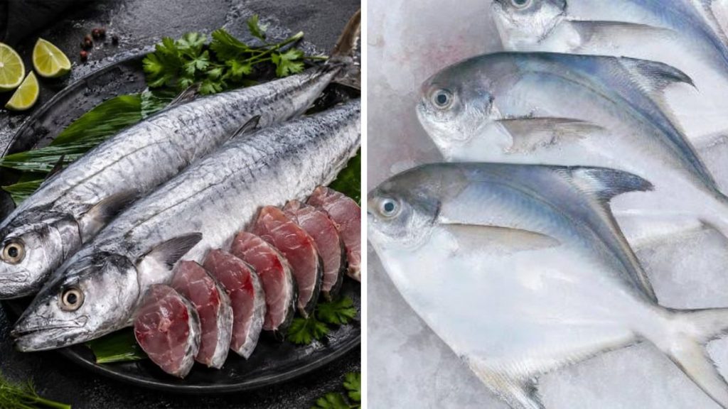 Pomfret and Surmai