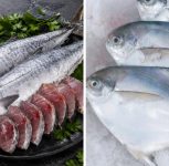 Pune: Fish Market Pomfret, Surmai and Rawas Prices Rise After Shravan