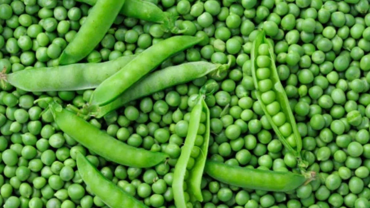 Purandar Peas