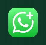 WhatsApp Business Messages Will Become Paid From 1 October: What Indian Businesses Need To Know
