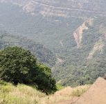 Pune: Woman, 12-Year-Old Girl Rescued After Falling Into Gorge at Tiger Point in Lonavala
