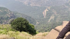 12-Year-Old Girl Rescued After Falling Into Gorge at Tiger Point in Lonavala