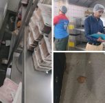 Pune: FDA Suspends Warje Domino’s Outlet’s Food Licence Over Hygiene Violations