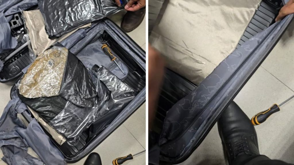 Pune Airport Drug Bust Customs Seizes Hydroponic Weed Worth Rs 44.27 Lakh