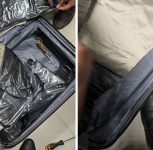 Pune Airport Drug Bust: Customs Seizes Hydroponic Weed Worth Rs 44.27 Lakh