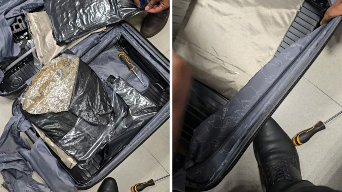 Pune Airport Drug Bust Customs Seizes Hydroponic Weed Worth Rs 44.27 Lakh