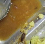 Pune University Girls’ Hostel Mess Under Scrutiny After Insect, Plastic Reportedly Found in Food