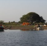 Pune: Ujani Dam Private Fishing Contract Tender Cancelled After Fishermen’s Opposition