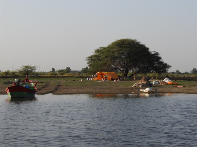 Ujani Dam Private Fishing Contract Tender Cancelled After Fishermen’s Opposition
